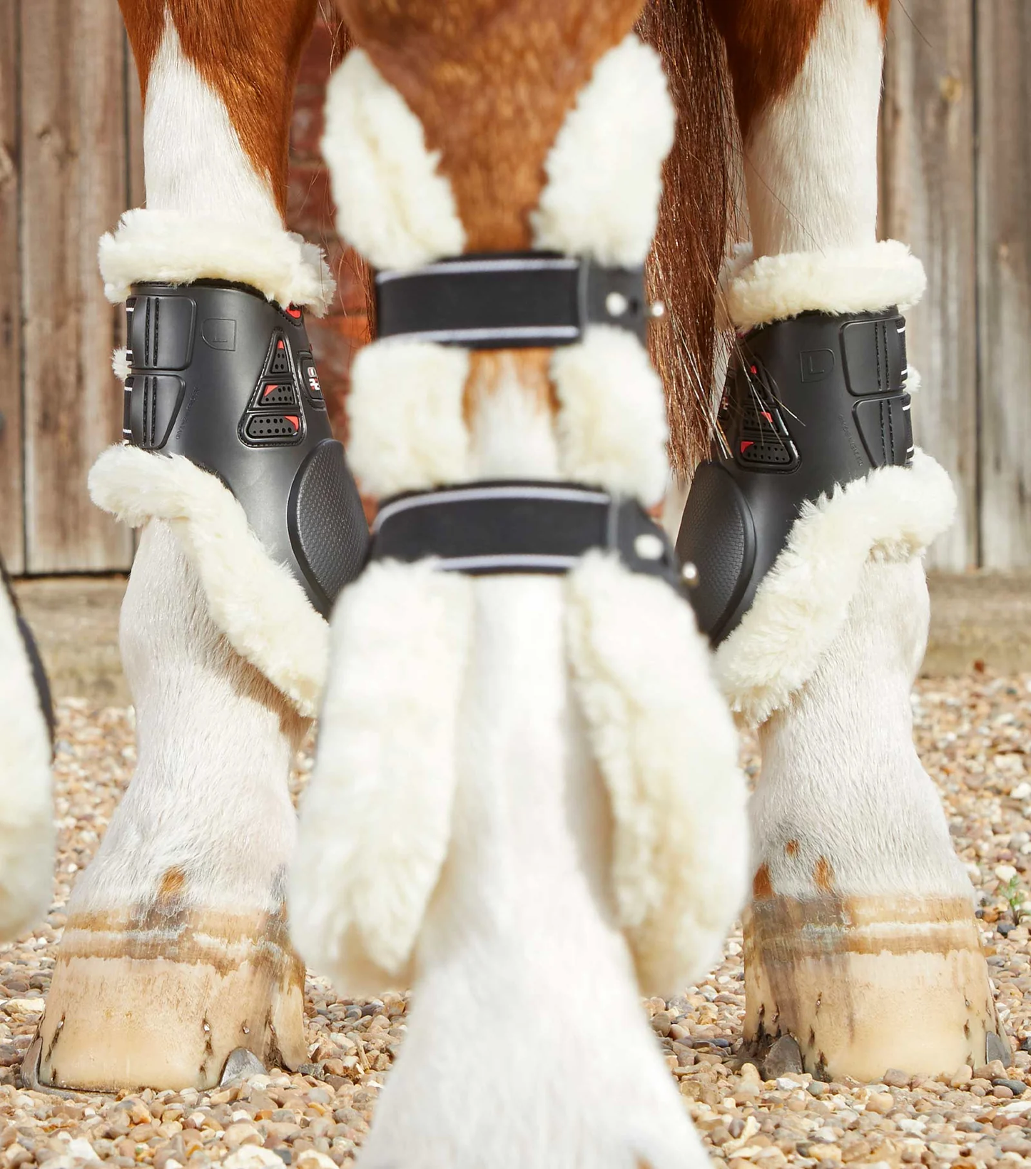 Premier Kevlar Fetlock WOOL